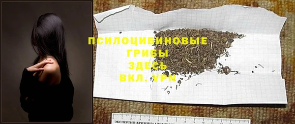 a pvp Магадан