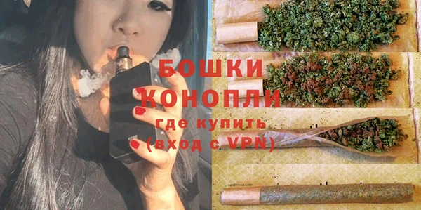 прущие крисы Белокуриха