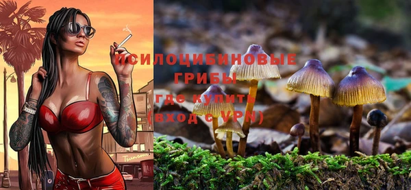 Альфа ПВП Лихославль