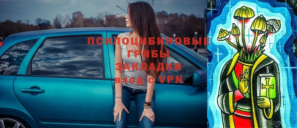 прущая мука Магас